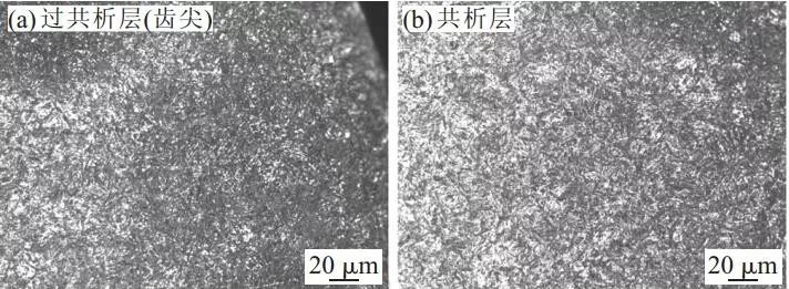 泰興減速機(jī),減速機(jī),泰興減速機(jī)廠,江蘇泰強減速機(jī)有限公司