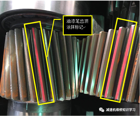 泰興減速機(jī),減速機(jī),泰興減速機(jī)廠,江蘇泰強(qiáng)減速機(jī)有限公司